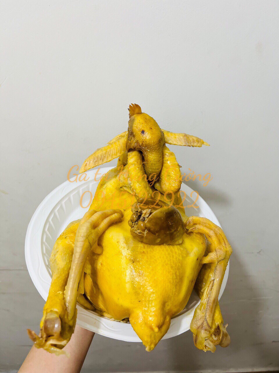 L&yacute; do n&ecirc;n chọn dịch vụ g&agrave; c&uacute;ng tại G&agrave; Ta H&ugrave;ng Cường