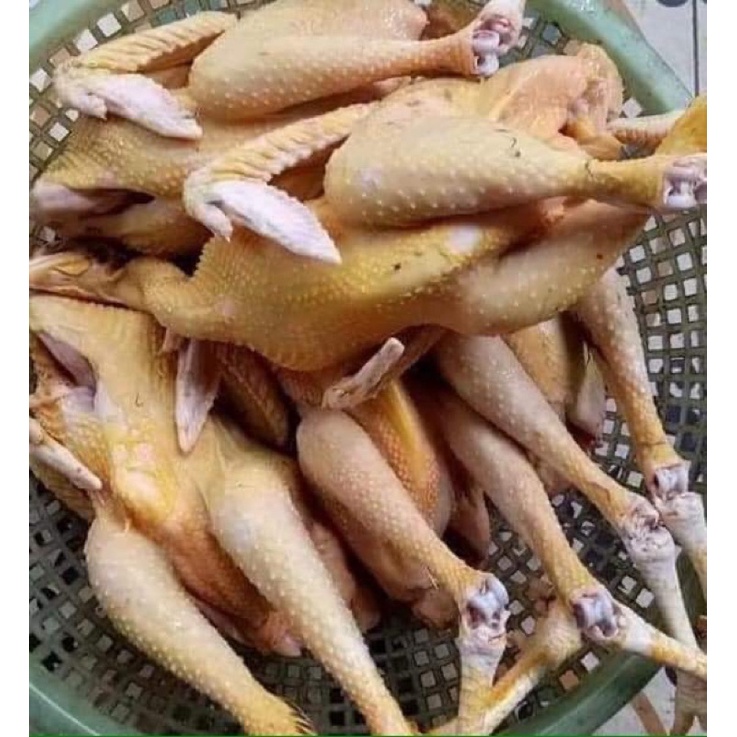 Dịch Vụ Đặt G&agrave; C&uacute;ng, G&agrave; Luộc, G&agrave; L&agrave;m Sạch Nguy&ecirc;n Con Giao Tận Nơi Tại TP.Hồ Ch&iacute; Minh - 4