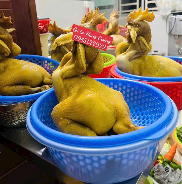 Dịch Vụ Đặt G&agrave; C&uacute;ng, G&agrave; Luộc, G&agrave; L&agrave;m Sạch Nguy&ecirc;n Con Giao Tận Nơi Tại TP.Hồ Ch&iacute; Minh - 8