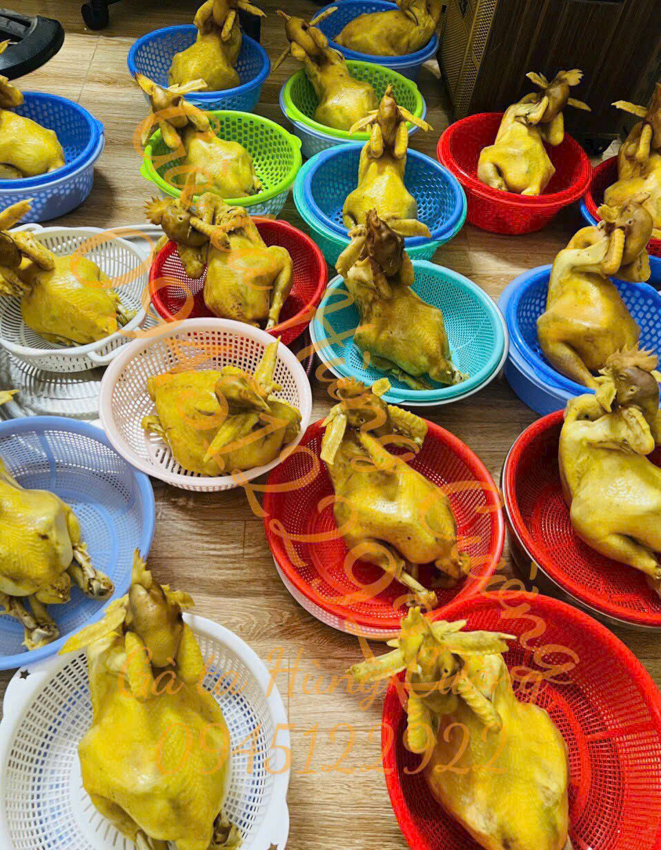 Dịch Vụ Đặt G&agrave; C&uacute;ng, G&agrave; Luộc, G&agrave; L&agrave;m Sạch Nguy&ecirc;n Con Giao Tận Nơi Tại TP.Hồ Ch&iacute; Minh - 6