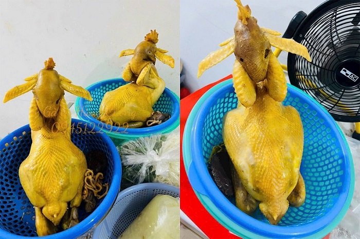 Gà trống cúng tất niên cuối năm (size lớn 1.7kg - 2.2kg + Gỏi + Cháo)
